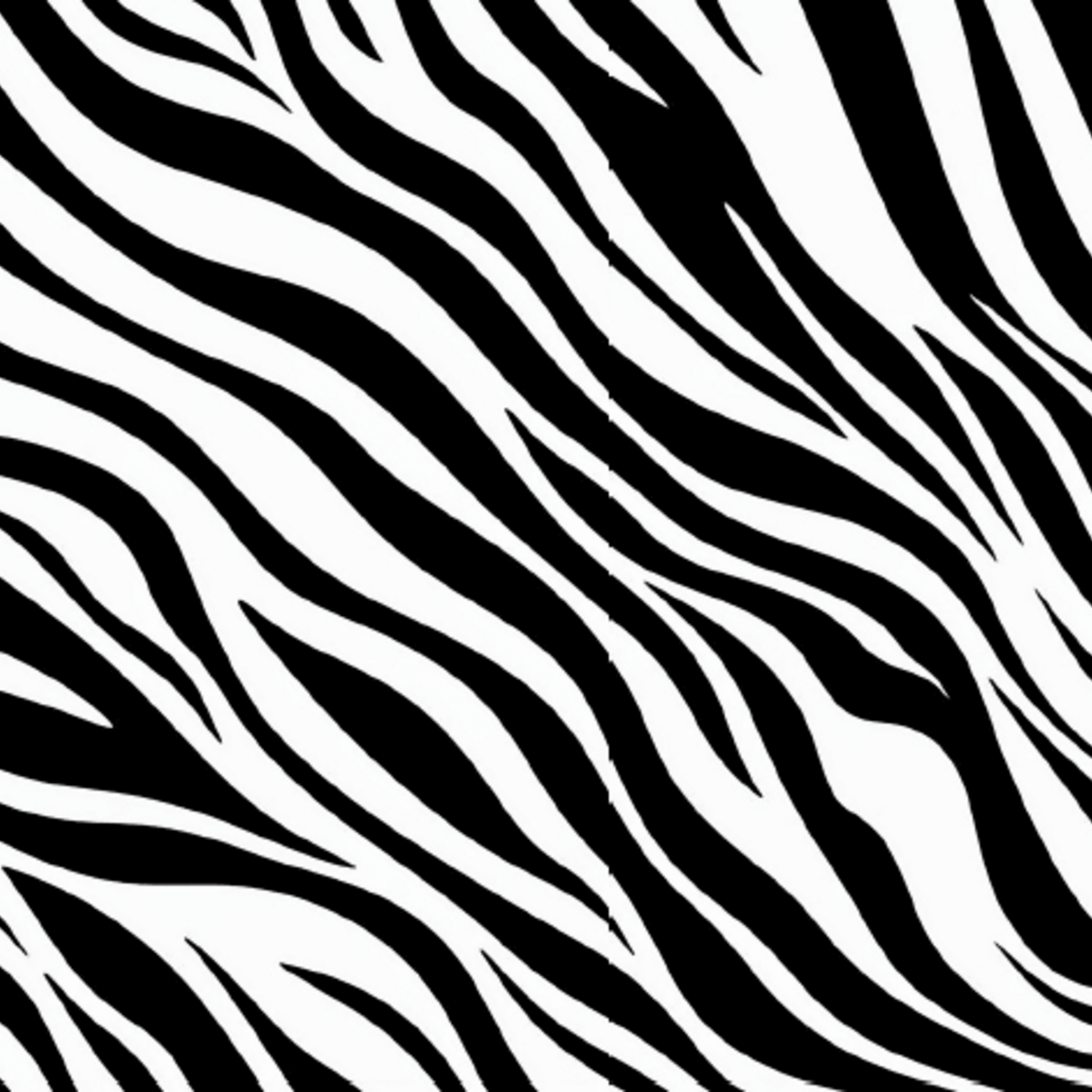 Animal Print